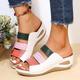 Women's Sandals Wedge Sandals Platform Sandals Plus Size Outdoor Daily Beach Color Block Summer Platform Wedge Heel Open Toe Casual Minimalism Faux Leather Loafer White Blue Brown