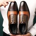 Men's Oxfords Derby Shoes Formal Shoes Brogue Dress Shoes Business British Gentleman Wedding Party Evening PU Lace-up Blue Coffee Spring Fall