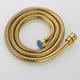 Faucet Accessory,Superior Quality Contemporary Brass Finish Water Supply with Ti-PVD 1.5M Shower Hose