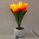 LED Tulips Night Light Table Lamp Tulips Flower Table Lamp USB Rechargeable Tulips Lamp Lights Artificial Flower Night Light LED Tulips Night Light Simulation Flower Table Lamp