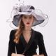 Derby Hats for Women Wide Brim Fedora Sun Hat Cloche Kentucky Fascinator Hats for Ladies Organza Tea Party Bridal Church Hats
