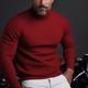 Men's Pullover Sweater Jumper Turtleneck Sweater Knitwear Ribbed Knit Regular Basic Plain Turtleneck Keep Warm Modern Contemporary Daily Wear Going out Clothing Apparel Fall Winter Black Wine M L XL