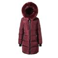 Women's Winter Jacket Puffer Jacket Parka Hoodie Jacket Street Daily Valentine's Day Winter Fall Regular Coat Regular Fit Warm Breathable Streetwear Casual St. Patrick's Day Jacket Long Sleeve Solid