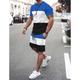 Men's T-shirt Suits Tracksuit Tennis Shirt Shorts and T Shirt Set Color Block Crew Neck Daily Wear Vacation Short Sleeves 2 Piece Clothing Apparel Gymnatics Casual