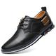 Men's Oxfords Derby Shoes Leather Shoes Dress Shoes Dress Loafers Walking Business British Daily Party Evening Leather Warm Lace-up Black White Blue Summer Spring