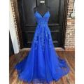 A-Line Prom Dresses Open Back Dress Formal Prom Court Train Sleeveless V Neck Tulle Backless V Back with Beading Appliques 2024