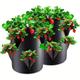 Grow Bags, Strawberry Planter Bags With Handles, 5/7/10 Gallon Heavy Duty Non-woven Fabric Plant Pots For Tomato,Carrot, Onion, Fruits, Flower And Vegetables, Garden Supplies