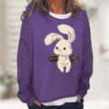 Animal Rabbit Bunny Sweatshirt Crewneck Pullover Anime Classic Street Style Hoodie For Women's Adults' 3D Print Casual Daily