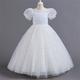 Kids Girls' Party Dress Solid Color Flower Short Sleeve Performance Wedding Sequins Elegant Princess Polyester Maxi Pink Princess Dress Tulle Dress Summer Spring 4-13 Years Multicolor White Pink