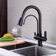 Kitchen faucet - Two Handles One Hole Electroplated / Painted Finishes Pull-out / Pull-down / Tall / High Arc / Purified water Centerset Modern Contemporary Kitchen Taps
