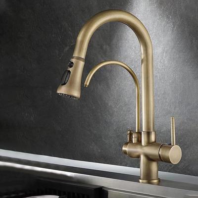 Kitchen faucet - Two Handles One Hole Electroplated / Painted Finishes Pull-out / Pull-down / Tall / High Arc / Purified water Centerset Modern Contemporary Kitchen Taps