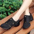 Women's Dance Sneakers Outdoor HipHop Square Dance Plus Size Fashion Sneaker Flat Heel Round Toe Lace-up Black / Gold White Rose Red