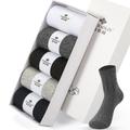 Men's 5 Pairs Socks Sport Socks / Athletic Socks Crew Socks Casual Socks Multi color Color Cotton Solid Colored Casual Daily Sports Medium Spring, Fall, Winter, Summer Fashion Comfort