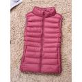 Women's Puffer Vest Vest Quilted Vest Windproof Warm Outdoor Christmas Street Daily Wear Zipper Zipper Stand Collar Fashion Outdoor Casual Minimalism Plain Regular Fit Outerwear Sleeveless Fall Winter