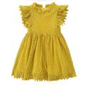 Kids Girls' Dress Party Dress Solid Color Short Sleeve Wedding Special Occasion Birthday Lace Ruffle Fashion Elegant Princess Cotton Lace Knee-length Party Dress Lace Dress A Line Dress Summer Spring