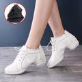 Women's Dance Sneakers Practice Trainning Dance Shoes Performance Outdoor HipHop Dancesport Shoes Professional Split Sole Thick Heel Pearl White Bright Black Black