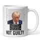 Trump Mug, Coffee Cup, White Mug, Halloween Gift Christmas Gift, 8.29.5cm