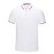 Men's Polo Shirt Golf Shirt Casual Holiday Lapel Short Sleeve Fashion Basic Plain Quick Dry Summer Slim Fit Azure Fire Red Black White Yellow Light Green Polo Shirt