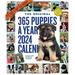 365 Puppies-A-Year Picture-A-Day Wall Calendar 2024: Absolutely Spilling Over With Puppies