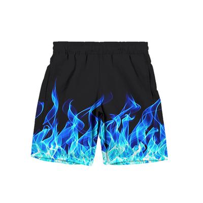 Boys 3D Graphic Shorts Summer Spring Active Streetwear 3D Print Kids 3-12 Years Outdoor Street Sport Regular Fit