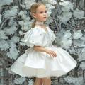 Kids Girls' Dress Solid Colored Short Sleeve Wedding Party Ruched Mesh Puff Sleeve Cute Sweet Polyester Above Knee A Line Dress Tulle Dress Flower Girl's Dress Summer Spring 3-12 Years Mint color