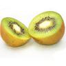 Kiwi chinensis Bruno (Femelle)/Godet