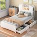 Twin Size Storage Platform Bed with 2 Drawers and Light Strip Design