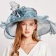 fascinateurs kentucky derby chapeau chapeaux organza seau chapeau chapeau de paille chapeau de soleil vacances plage élégant vintage avec plume floral casque chapeaux