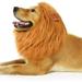 CNKOO Dog Lion Mane - Realistic & Funny Lion Mane for Dogs - Complementary Lion Mane for Dog Costumes - Lion Wig for Medium to Large Sized Dogs Lion Mane Wig for Dogs