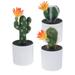 3 Pcs Simulation Cactus Plant Ornament Home Decor Fake Desktop Adornments False Green Plants Ornaments Table Office