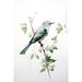 Watercolor Birdie 2 Poster Print - Prints Design Petals (15 x 24)