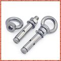 Expansion Bolts Bolt Hooks Wall Fastener Nail 304 Stainless Steel M6 M8 M10 M12 Lifting Ring Expansion Hook Screw Water Heater Expansion Bolt Swing Hook Hook(Dimensions:M12x80(2 PCS)) (Color : M8)