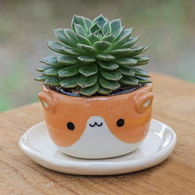 'Cat-Themed Ivory Orange Ceramic Mini Flower Pot with Saucer'