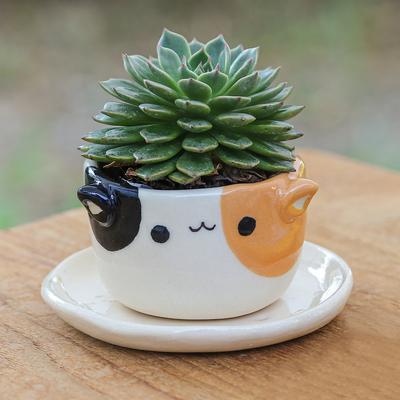 'Handcrafted Cat-Themed Ceramic Mini Flower Pot with Saucer'