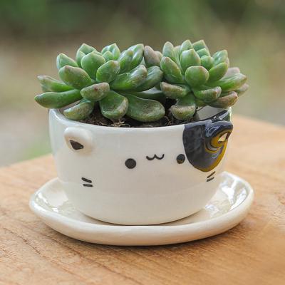 'Handcrafted Cat-Shaped Ceramic Mini Flower Pot wi...
