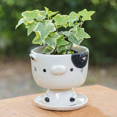 'Cat-Shaped Ivory Black Ceramic Mini Flower Pot with Saucer'