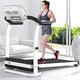 Treadmill, Folding Treadmill, Electric Walking Machine, Portable Gym Equipment Fitness Weight-loss Exercise Equipment Multifunctional Office/Home Fitness-B (A)