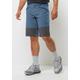 Shorts JACK WOLFSKIN "HIKING ALPINE SHORT M" Gr. 50, Normalgrößen, blau (elemental, blue) Herren Hosen Shorts