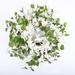 The Holiday Aisle® 20" Silk Wreath Silk in Green/White | 20 H x 20 W x 4 D in | Wayfair 227288D213CE4F75BA034E2C2A7572FD