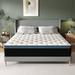 Twin Medium 12" Hybrid Mattress - Alwyn Home Timera | 80 H x 76 W 12 D in Wayfair 6E1F1DA8183448A49B3A4A78596EAF1D