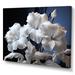 Bay Isle Home™ White Hibiscus Flowers Illuminated By Moonlight On Canvas Print Canvas, Cotton in Blue/White | 12 H x 20 W x 1 D in | Wayfair
