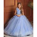 Princess Floor Length Flower Girl Dress First Communion Girls Cute Prom Dress Polyester with Flower Frozen Fit 3-16 Years