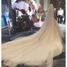 One-tier Luxury Wedding Veil Cathedral Veils with Solid Tulle