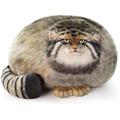 gatto peluche corpo cuscino pallas gatto cuscino peluche simpatico gatto della steppa animali imbalsamati morbidi peluche gattino peluche cuscino di lancio bambola grandi giocattoli di peluche regalo