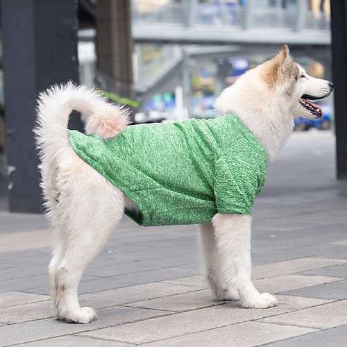 Hunde Katzen Pullover Modisch Minimalistisch Winter Warm Atmungsaktiv Weich Waschbar Komfortabel Outdoor Casual Hundebekleidung for Bichon Frise Spitz kleines Haustier Schmetterling Small Image