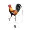 acryl 2d rasen stake garten huhn stake flache dekorative panel garten decor stakes huhn yards kunst dekorative rasen zeichen huhn stake zeichen huhn ornament hof ornament im freien