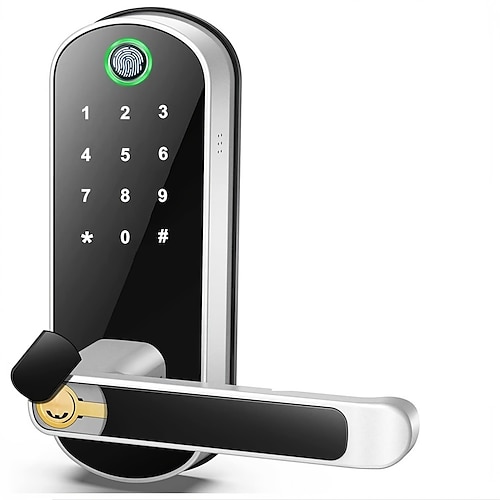 Intelligentes 5-in-1-Türschloss mit Griff, biometrischer Technologie, Speicherfunktion Image