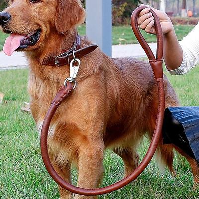 Hunde Katzen Halsbänder Leinen Einstellbar Tragbar Langlebig Outdoor Gehen Image