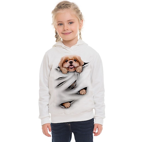 Mädchen 3D Tier Katze Kapuzenshirt Langarm 3D-Druck Frühling Herbst Winter Modisch Strassenmode bezaubernd kinderkleidung 3-12 Jahre Outdoor Täglich Innen Regular Fit Image
