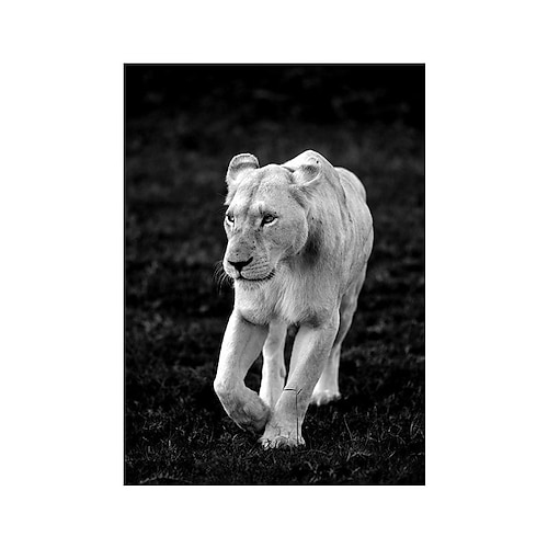 1 stück tier wandkunst leinwand giraffe elefant poster und drucke moderne wandkunst bild für wohnzimmer kein rahmen Image